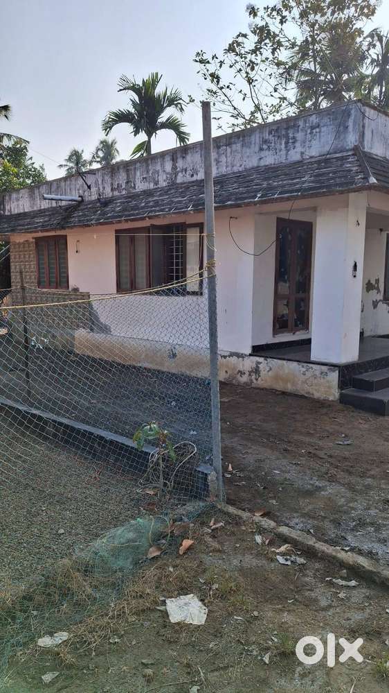 9.5 CENT ORGINAL LAND & OLD HOUSE FOR SALE IN  CHATHANAD