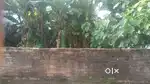 Plot for Sale in Parrottukonam, Nalanchira