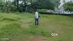 Grass cutting/പുല്ല് വെട്ട്. Grass cutting with machine available.