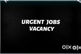 12TH  PASS REQUIRED FOR WORK FROM HOME