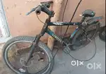 Sunbird cycle on sale