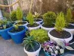 Jaka ban die ha Nongrah @1700/sqft total area 2500