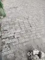 Need a driver