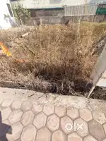 PLOT FOR SALE COVERD CAMPUS