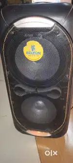 Belton company charger home theatre with 10 inchs speaker 2wireles mic