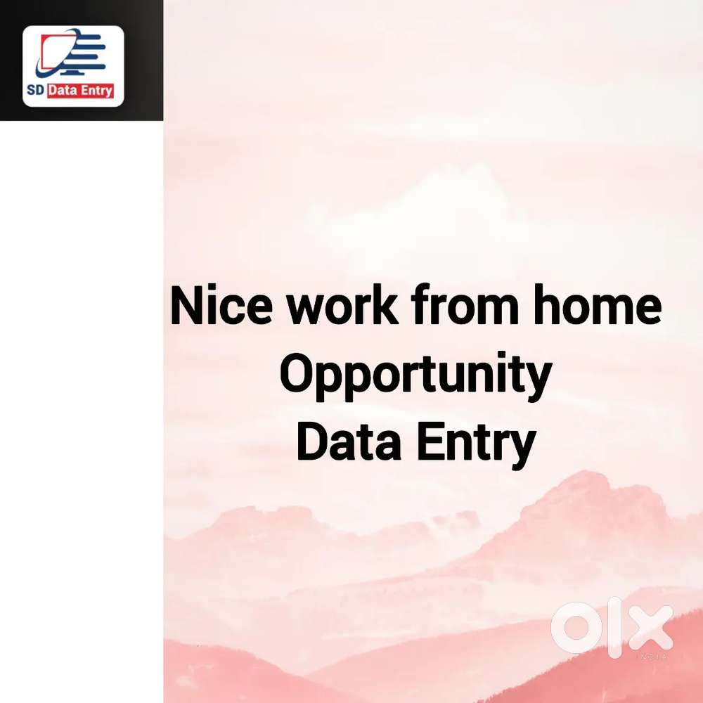 Nice opportunity work from Anywhere data Entry