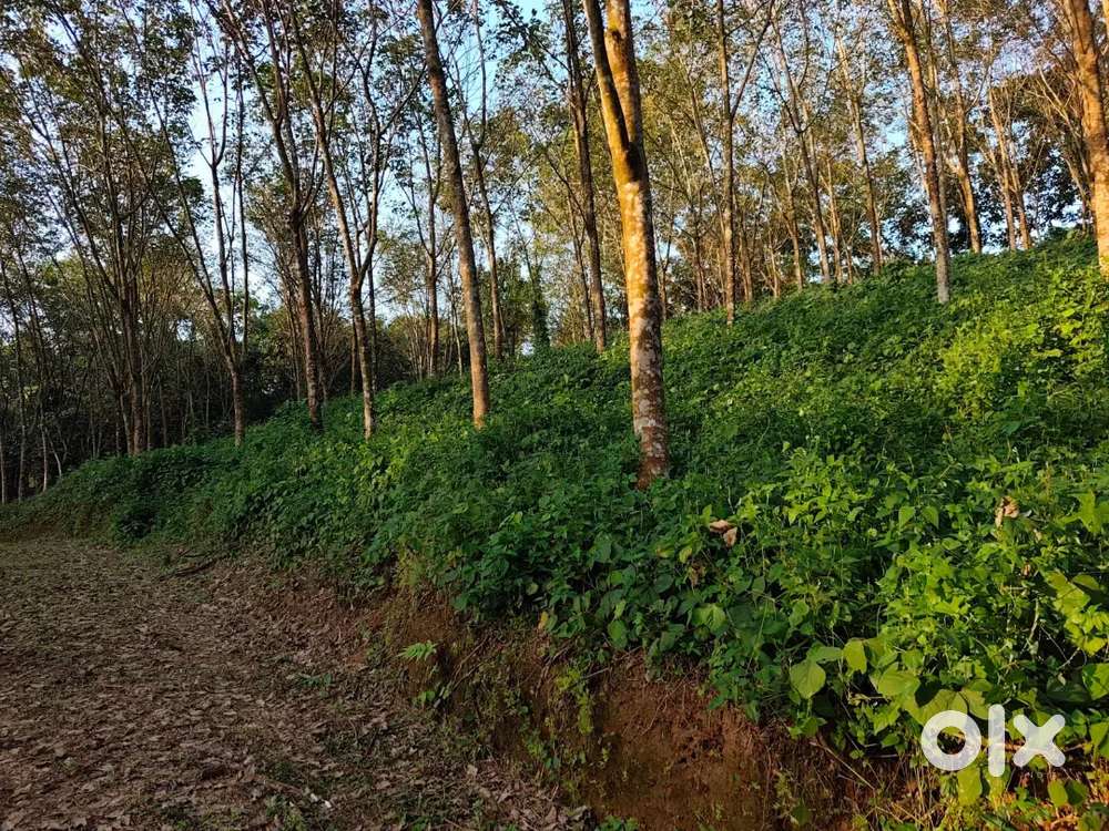 Koothattukulam Monippally 10 acre for sale