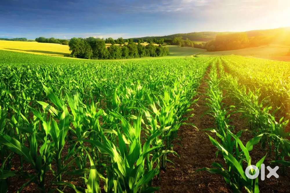 Agriculture Department