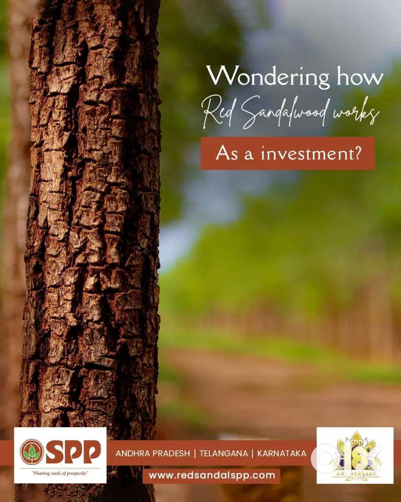 50cents Agriculture land for sale with Red sandal wood forming venture