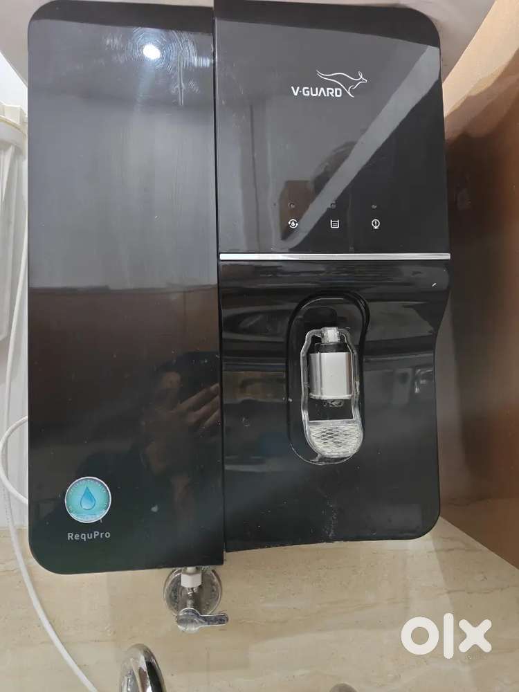 Water purifier filter