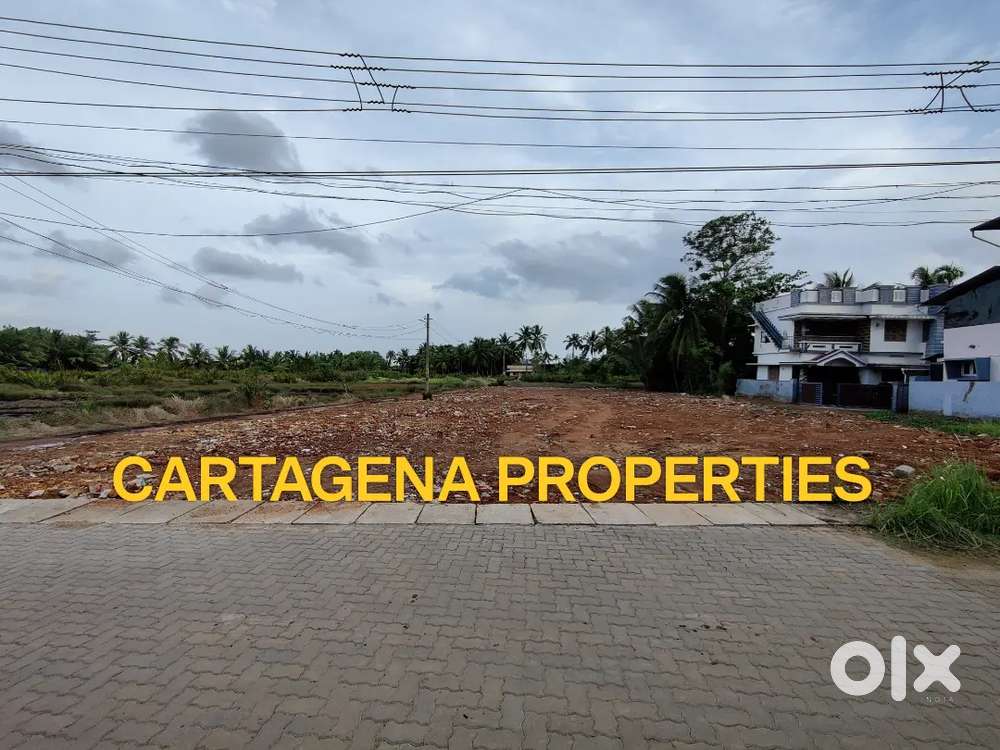 PREMIUM HOUSE PLOTS MARADU, ERNAKULAM, 5 CENTS ONWARDS, TOTAL 21 CENTS