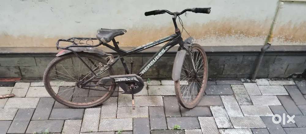 Hercules Street Rider