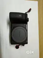 Sony Alpha 6600 with SEL20F28 and SEL1655G