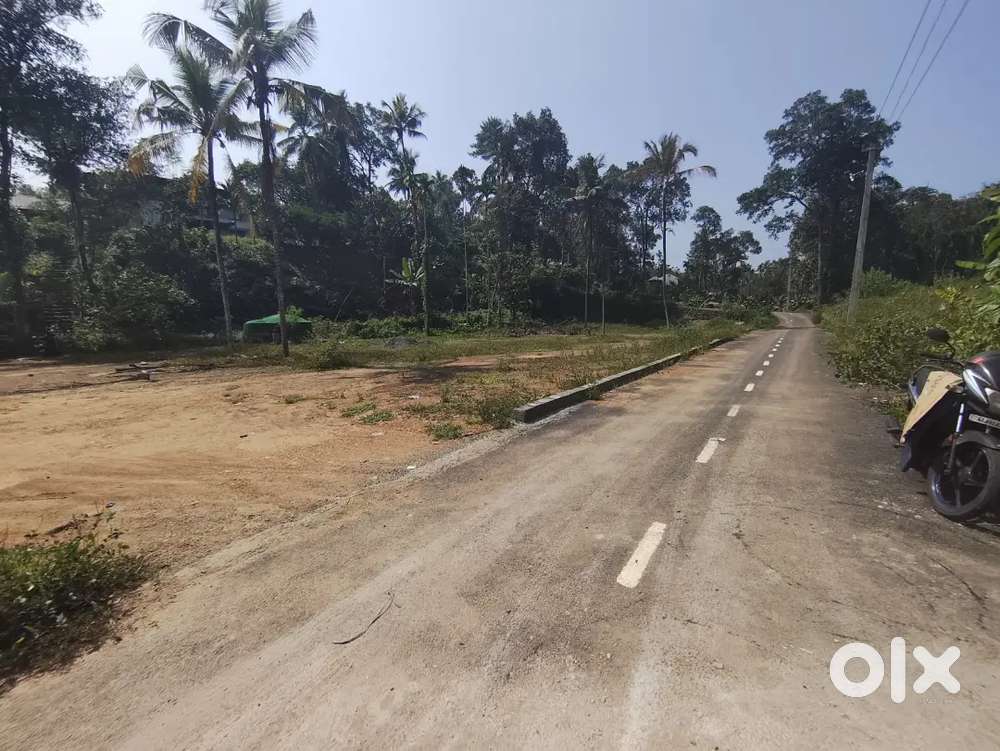 Kothamangalam Nellimattom kavalangad house plots for sale