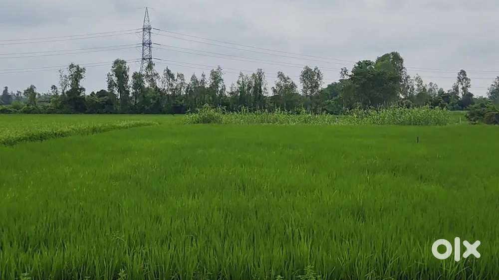 खेती और फार्मिंग के लिए बहुत ही बढ़िया कॉन्सेप्ट की जमीन है