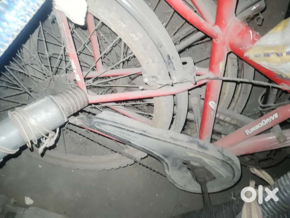 Hercules new clycle 2024