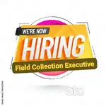 Field Collection Executive