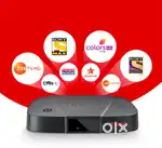 DTH + WIFI @599/-