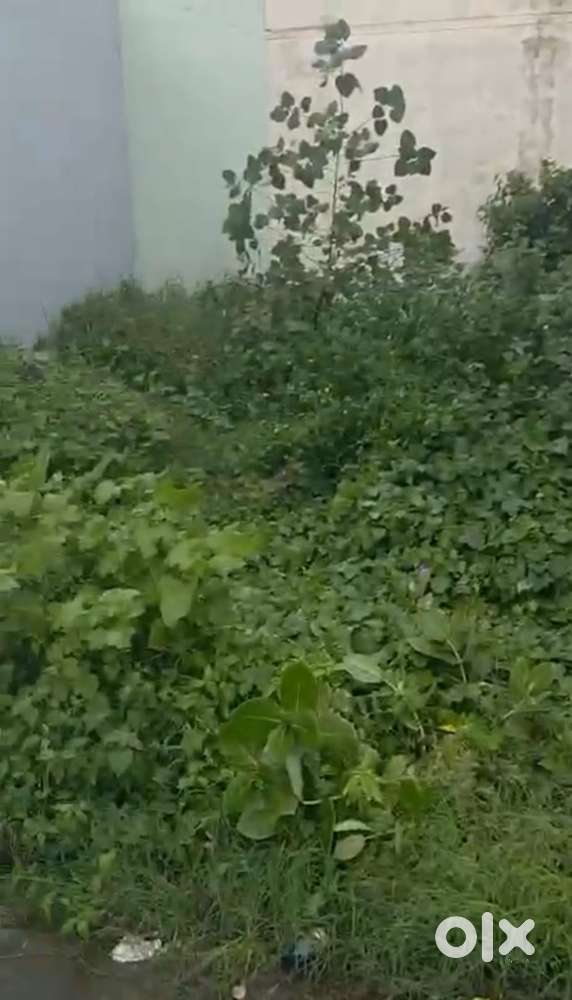 Akashdeep colony roorkee