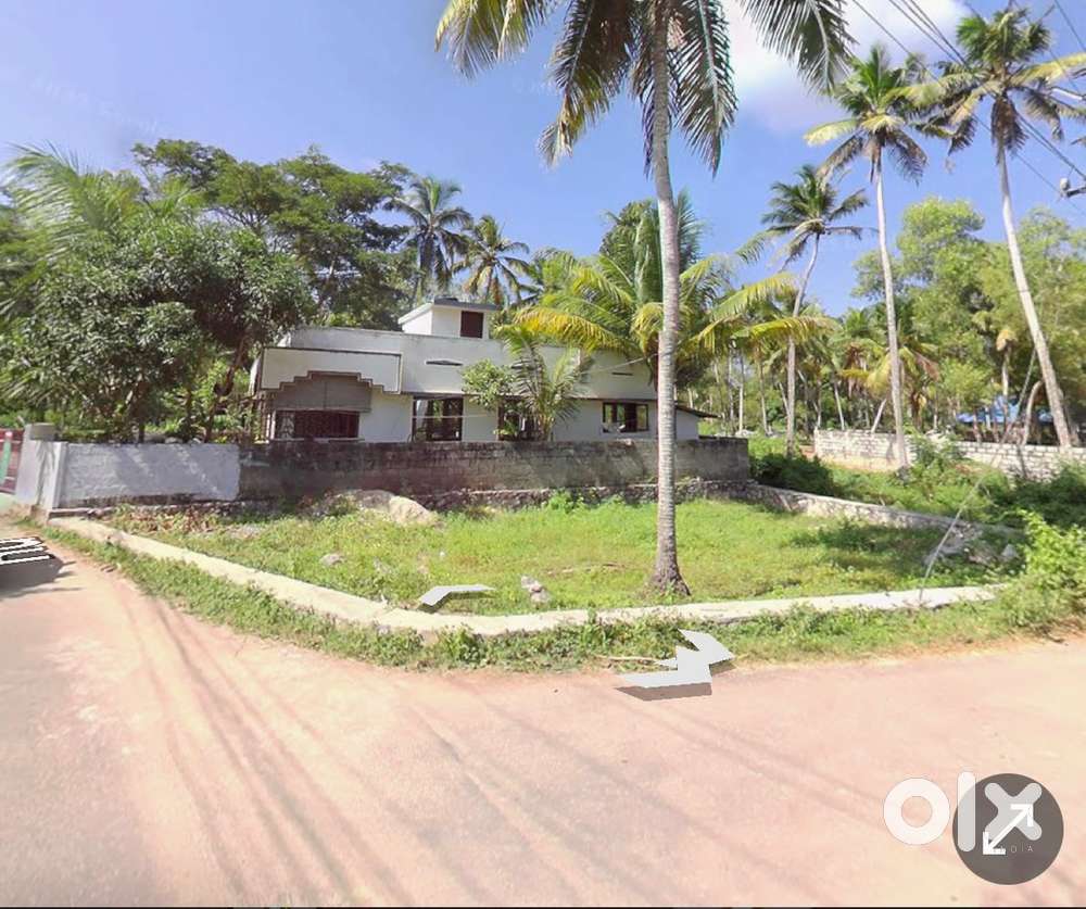 6.2 cents land for immediate sale near Kaniyapuram  3.5 lacks per cent
