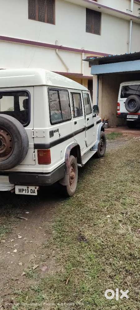 Fresh condition non accidental