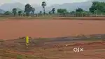 நீங்கள் வாங்கிய மனைக்கு வாடகை தரப்படும்