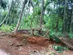 House plots marathamkode, മരത്തംകോട്