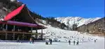 Holidays at Manali for the most exotic destinations