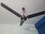 Ceiling fan orient brand very good condition 2.no.