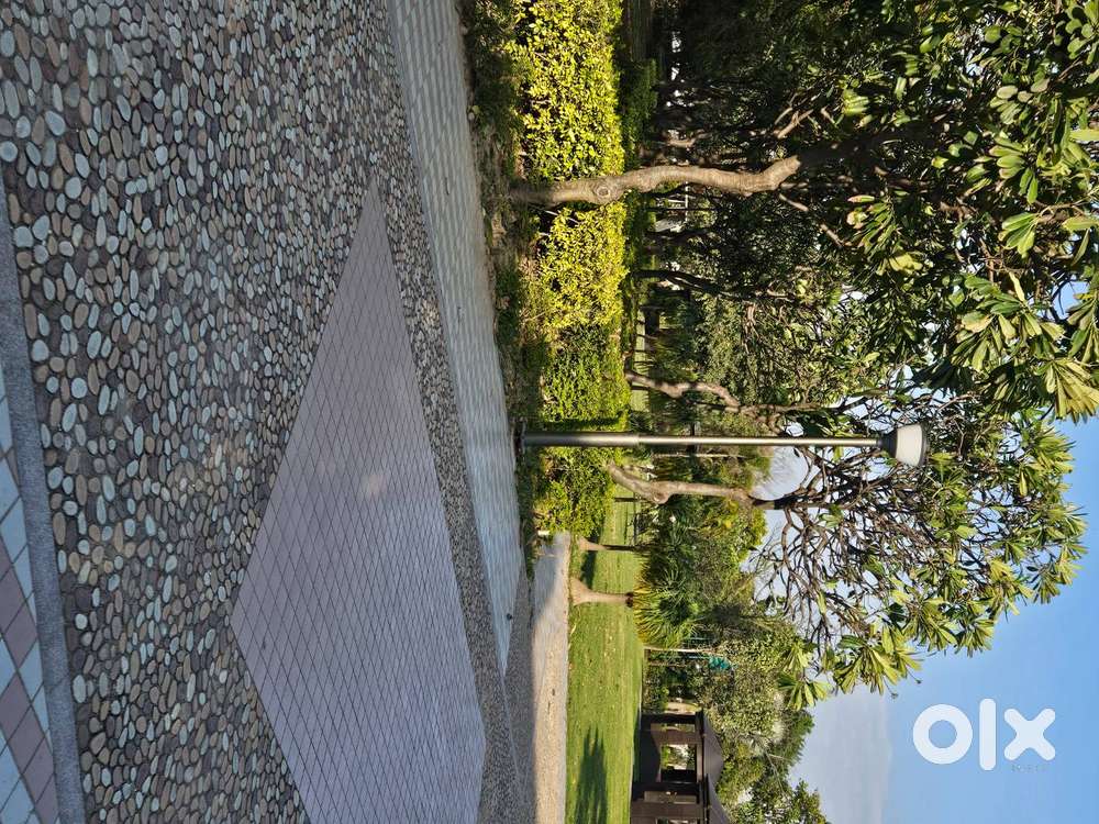 SCO Site For Sale in Omaxe Phase 3 New Chandigarh.