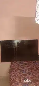 Sony 4k Altra HD 43 led display problem