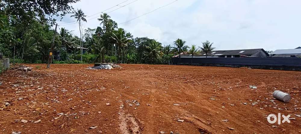 PREMIUM HOUSE PLOTS FOR SALE IN KURICHY- KOTTAYAM