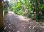 20 cent original land Angamaly paravur road athani aduvassery