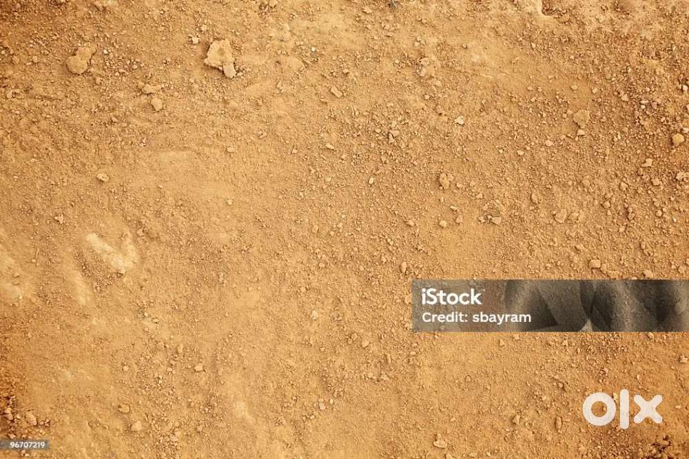 Khali  plot h 5 marle  new Saini colony tohana road bhuna