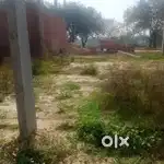 Urgent plot selling