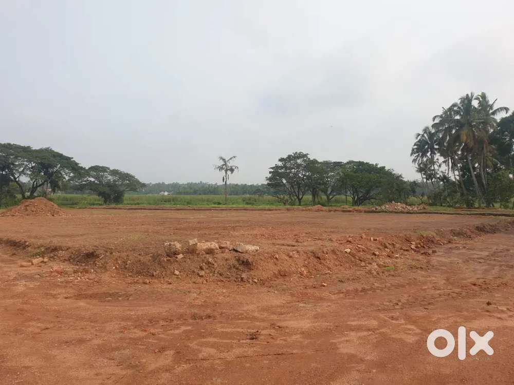 3 Acres Land
