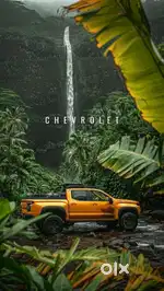 Car cleaning job
