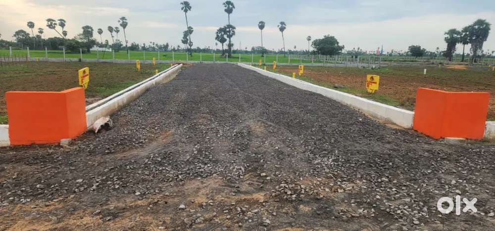 ఫిష్ ల్యాండ్ రొయ్యల చెరువులు