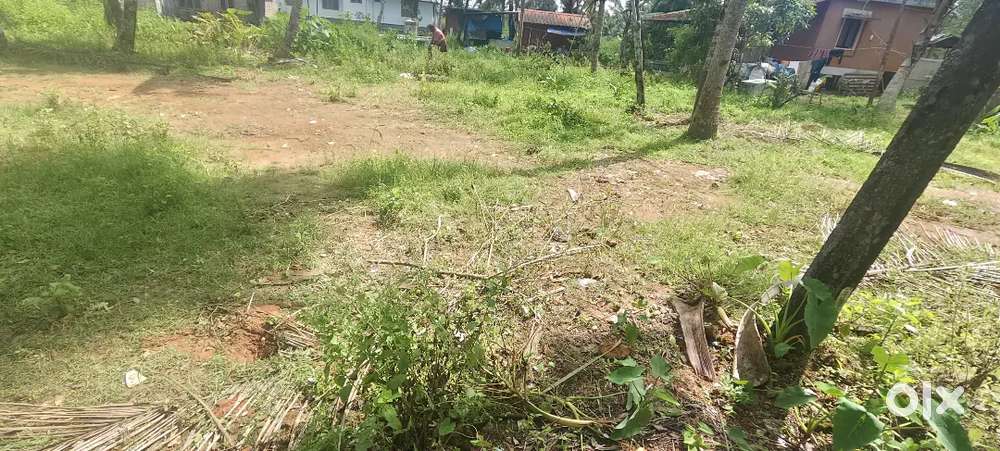 4 &6 cent square land .