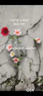 If Any one want a teacher for your children contact me