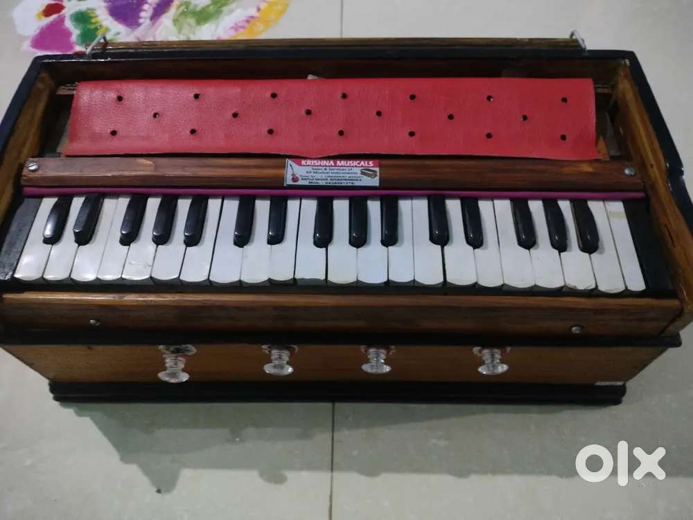 Harmonium 1 year