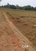 Five  dismal land cnt free in lodhma