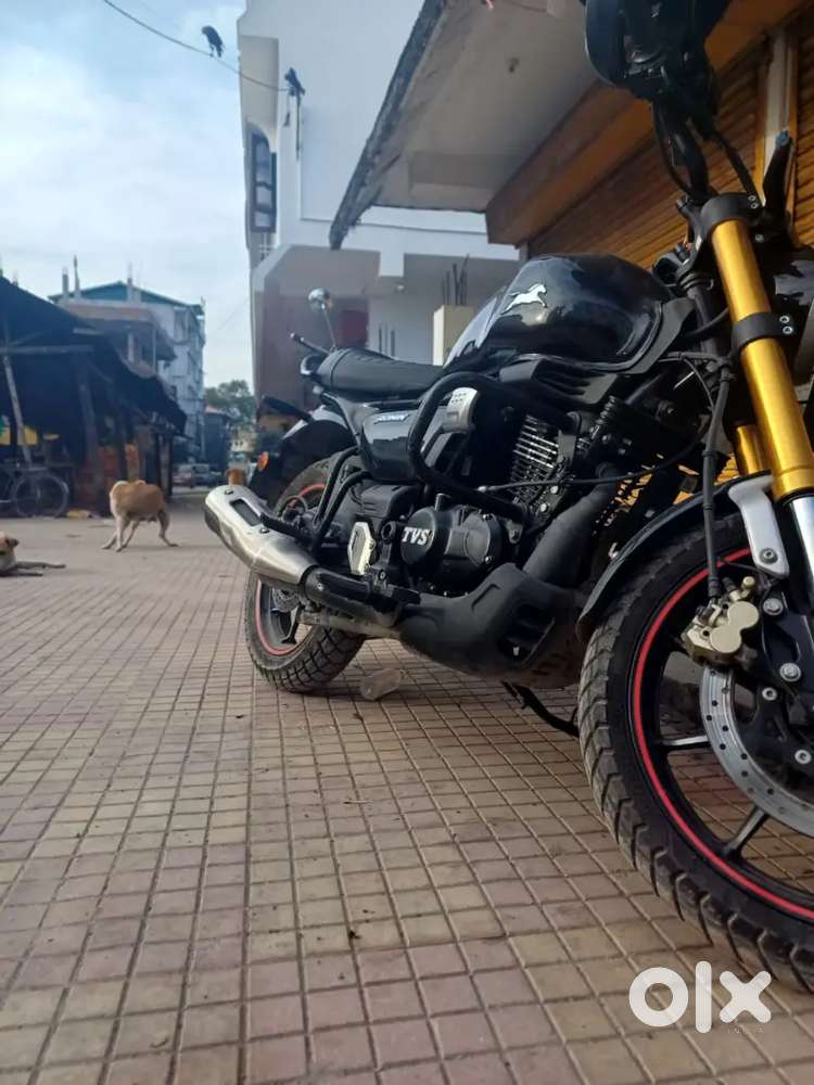 TVs ronin 2023