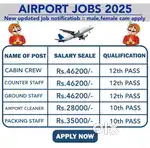 Hiring Indigo airline ground staff& ticketing in international airport