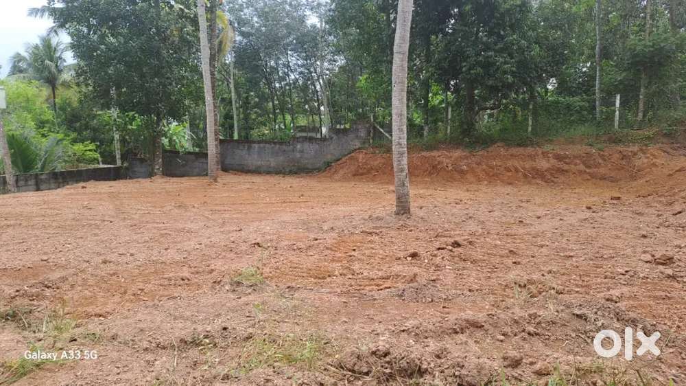 800 METER'S FROM CRPF CAMP PALLIPURAM