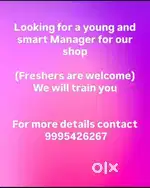 Looking for a young manager