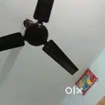 Crompton ceiling fan