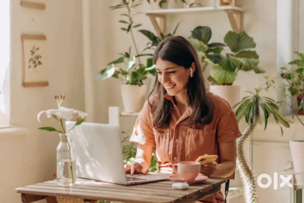 Hiring Freshers For Data Entry