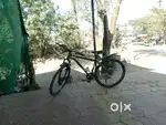 Phoenix Cycle