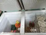 Double door deep freezer